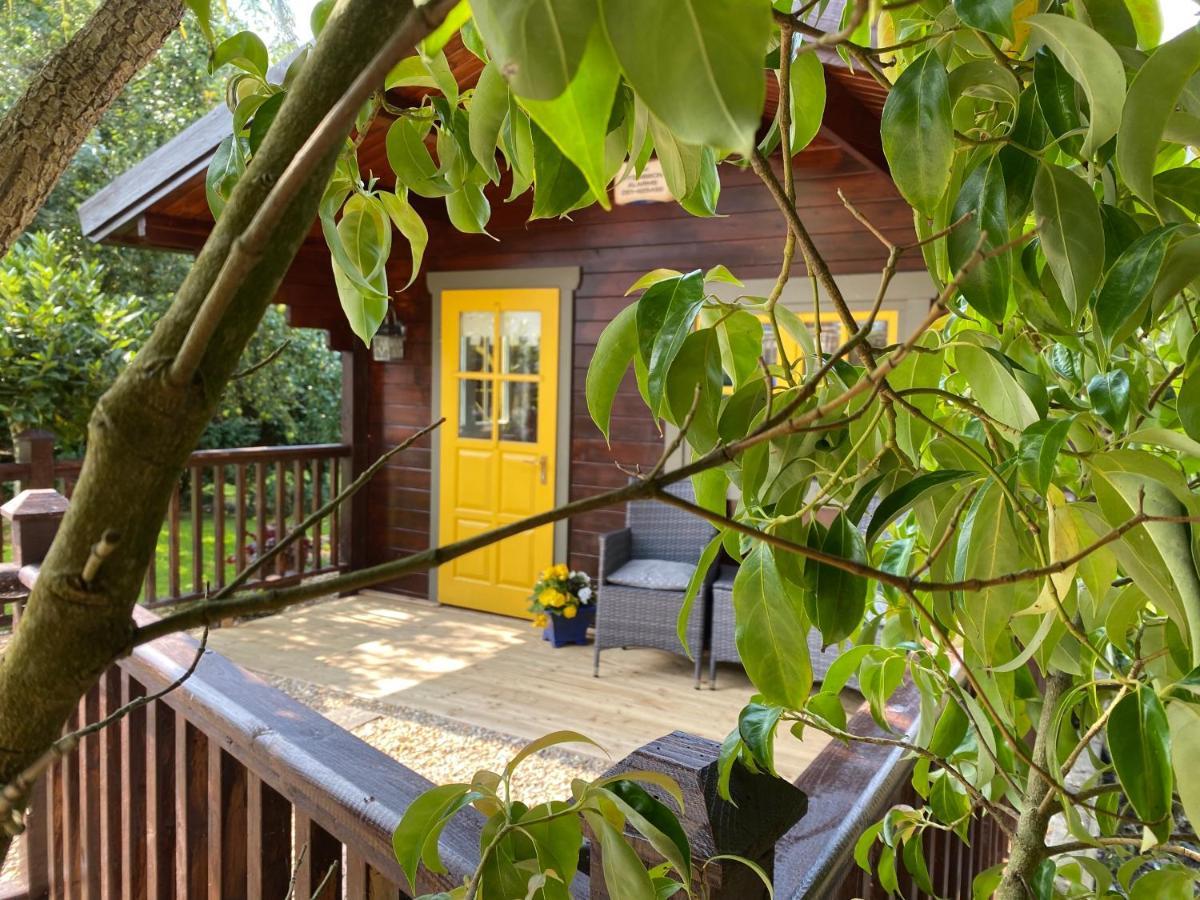 Beaufort House Accomodation 新罗斯 外观 照片